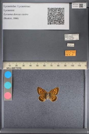 Media type: image;   Entomology 192821